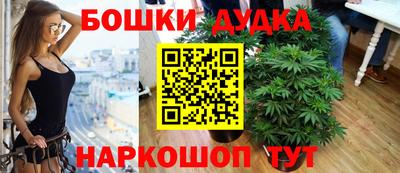крисы Гай