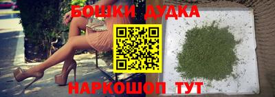 крисы Гай
