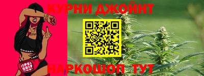 крисы Гай