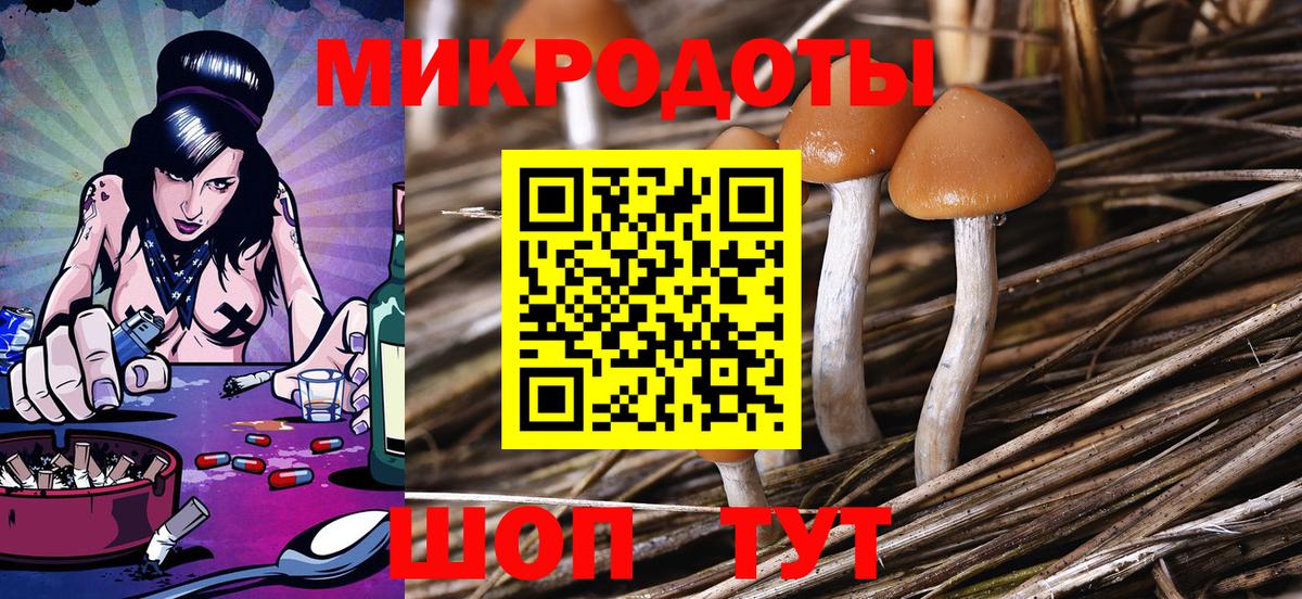 Выборг  Псилоцибиновые грибы мухоморы  Псилоцибиновые грибы Psilocybine cubensis  Вход с VPN 