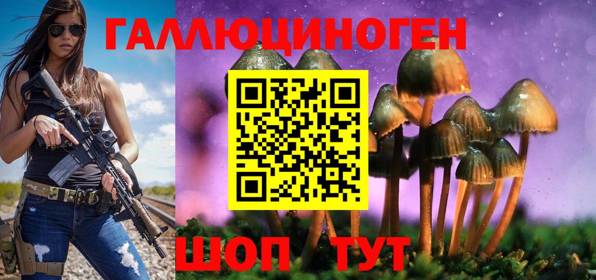 Псилоцибиновые грибы Psilocybe Выборг